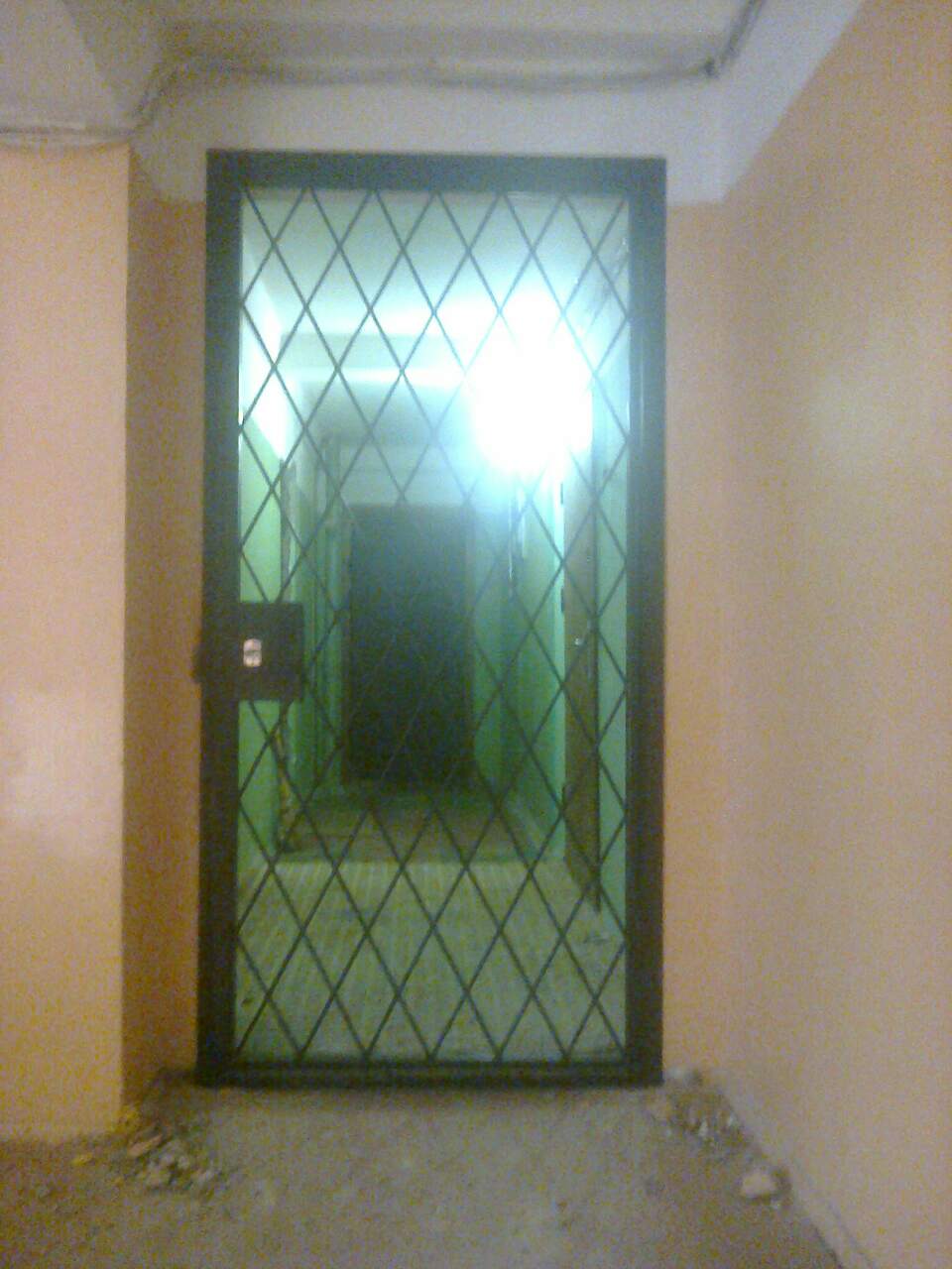 Решетки на двери, решетчатые двери